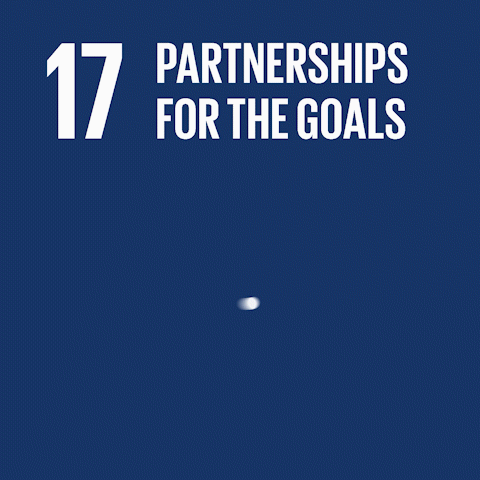 PARTNERSHIPS FOR THE GOALS