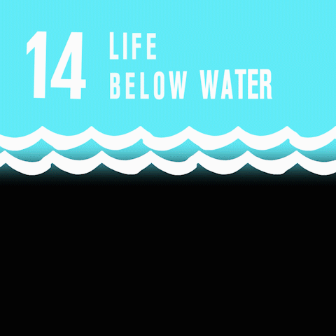 LIFE BELOW WATER