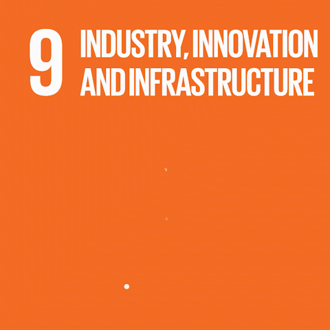 INDUSTRY INNOVATION AND INFRASTRUCTURE