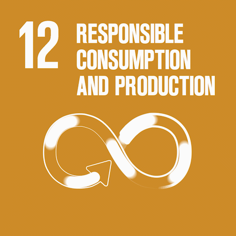 RESPONSIBLE CONSUMPTION AND PRODUCTION