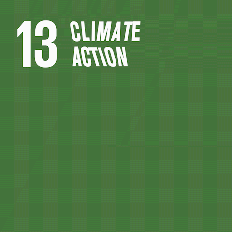 CLIMATE ACTION